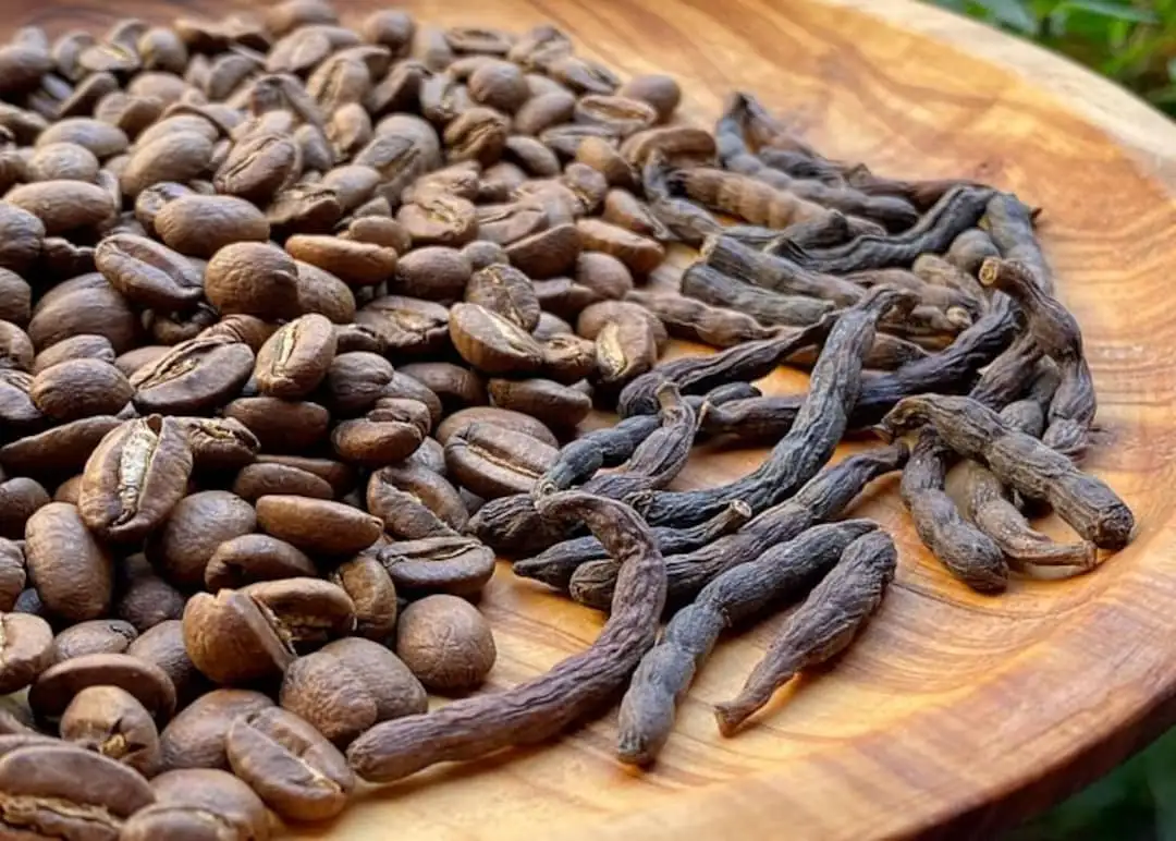 Café Touba - Téranga d'Afrique