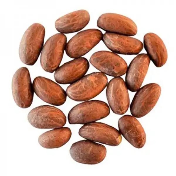 Noix de Petit Cola - Téranga d'Afrique