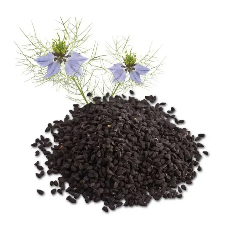 Graines de Nigelle - Téranga d'Afrique