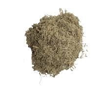 Artemisia Annua - Téranga d'Afrique
