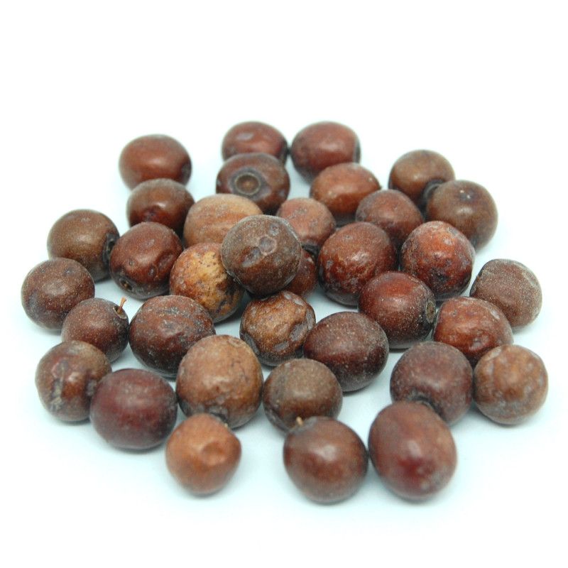 Graines de jujube Africain - Téranga d'Afrique