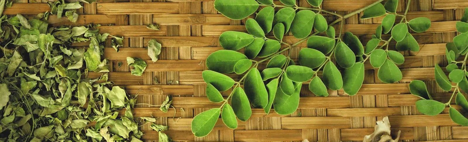 Feuilles de moringa séchées